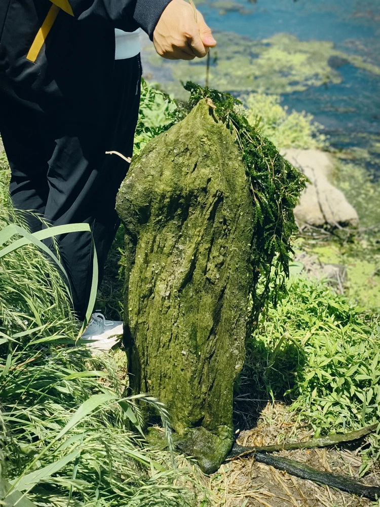  Portable Fiing Weed Cutter New Version Water ass Cleaning Rake Efficient Water ass Removal Tool Fiing Gear