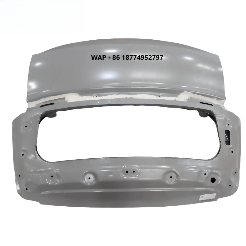 New Back Door Assembly EQEA-6301010 Seagull High Quality Auto Body Parts Perfect Replacement Car Accessories