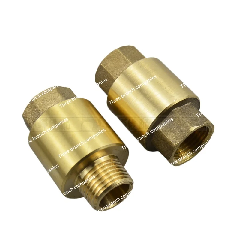 

4 Points Check Valve Boiler Backwater Valve Steam Generator Water Pump Water Pipe Water Meter Check Valve Spring