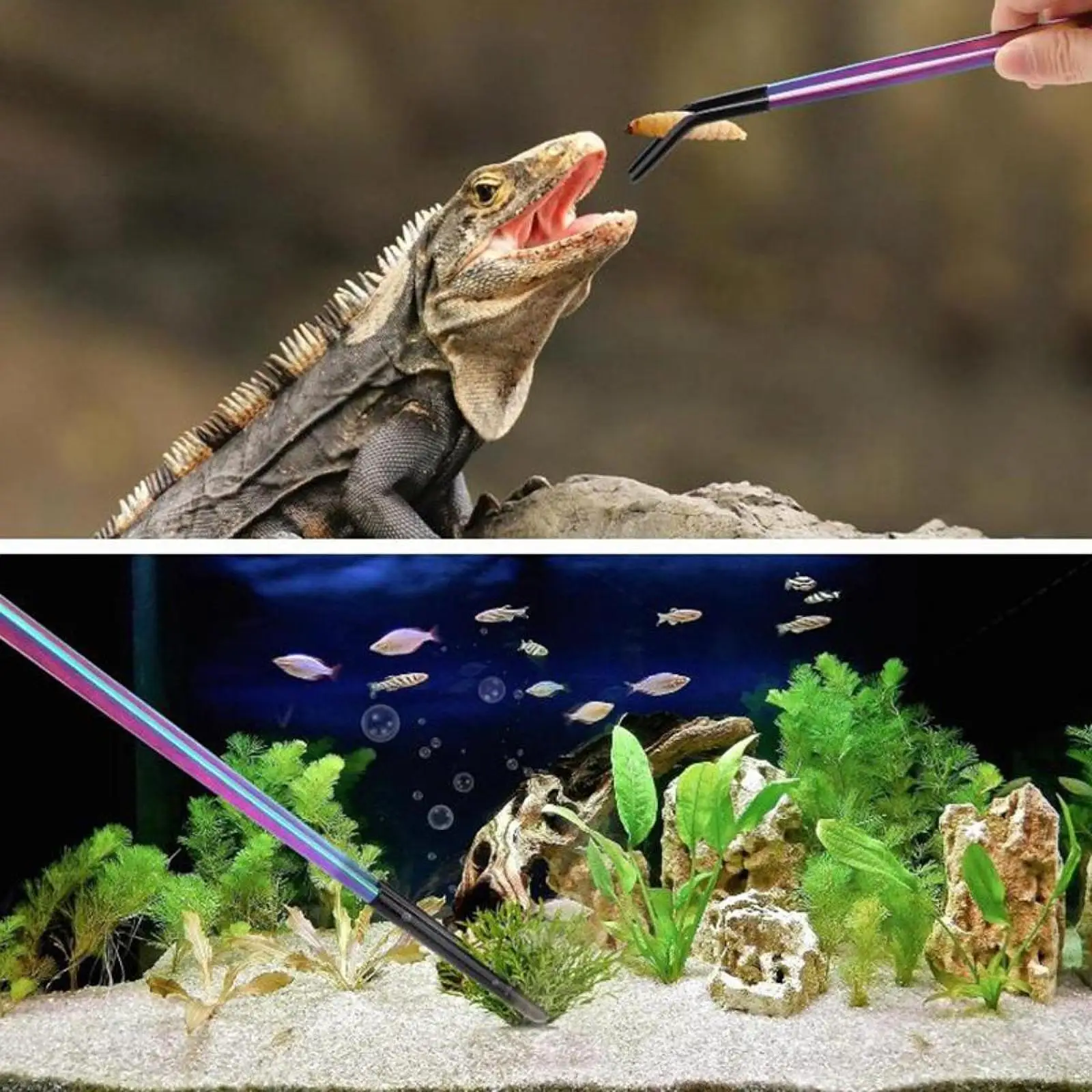 Pinzas silicona para iguanas y tortugas - Punta suave - imagen 4