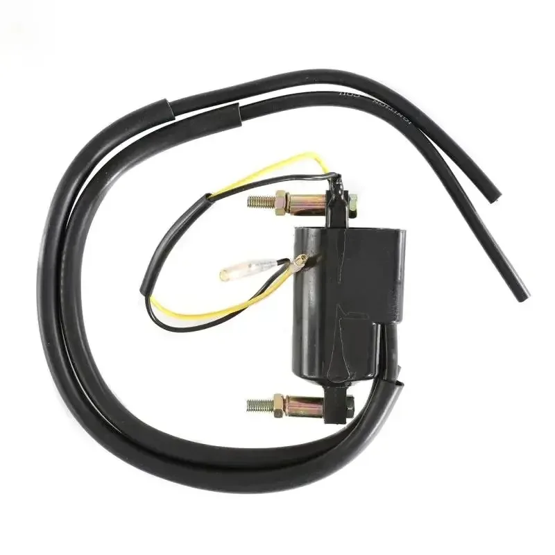 Ignition Coil Set for Suzuki GS550 GS750 GS850 GS1000 2 Dual Output + 4 Ohm Coils with Spark Plug Caps #33410-45012