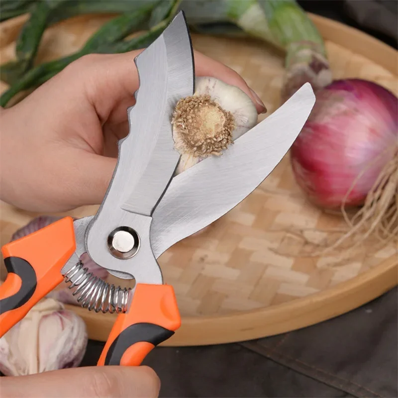 Big End Garlic Scissors Two Color Non Slip Plastic Handle Spring Design For Onion Vegetable Trimming Kitchen Gadget Tools