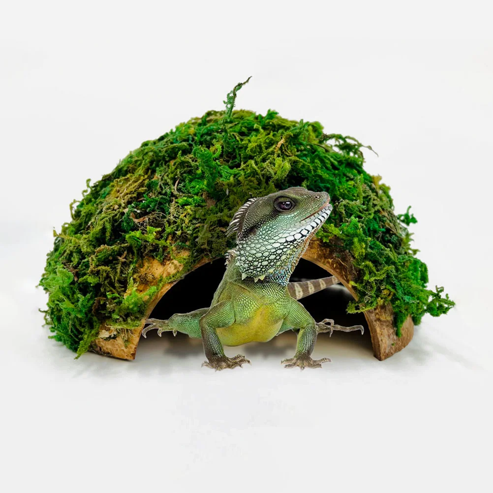 Reptile Hideout House Shelter Terrarium Ornament Turtle Enclosure and Cave Tortoise Basking Platform Coconut Shell Decor