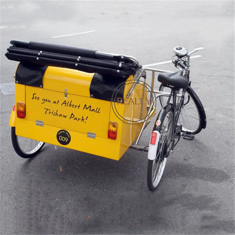 Electric Tricycle Pedal Cargo Bike Electric Adult Pedicab Rickshaw Taxi Jinricksha for Passenger Renting