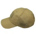 Coyote Brown