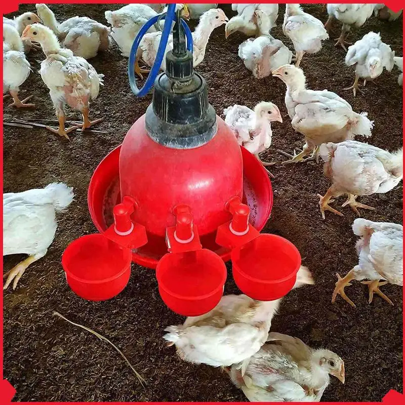 

B17B 120PCS Chicken Watering Cup Automatic Filling Waterer Poultry Drinking Bowl Thread Watering Feeder Cup For Chicken