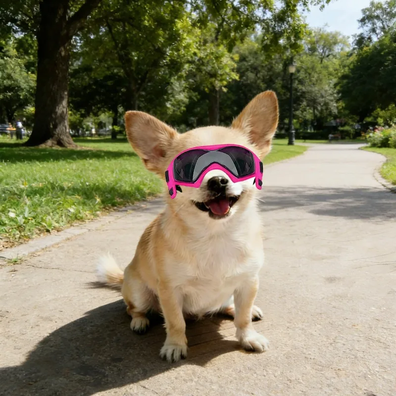 UV Pet Protective Goggles 5