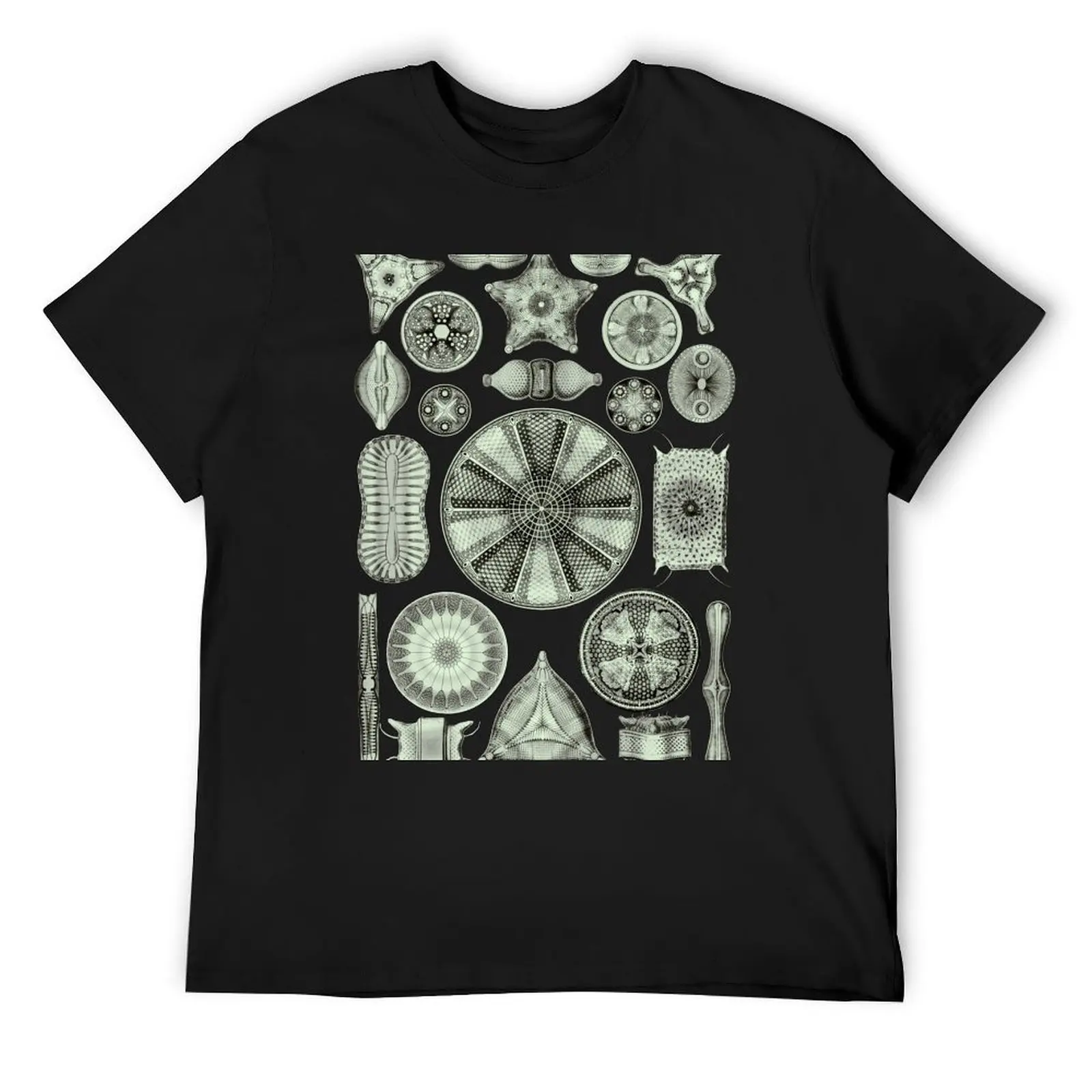 

Ernst Haeckel Diatoms Olive Green T-Shirt blacks funny gifts shirts graphic boys animal print t shirt men