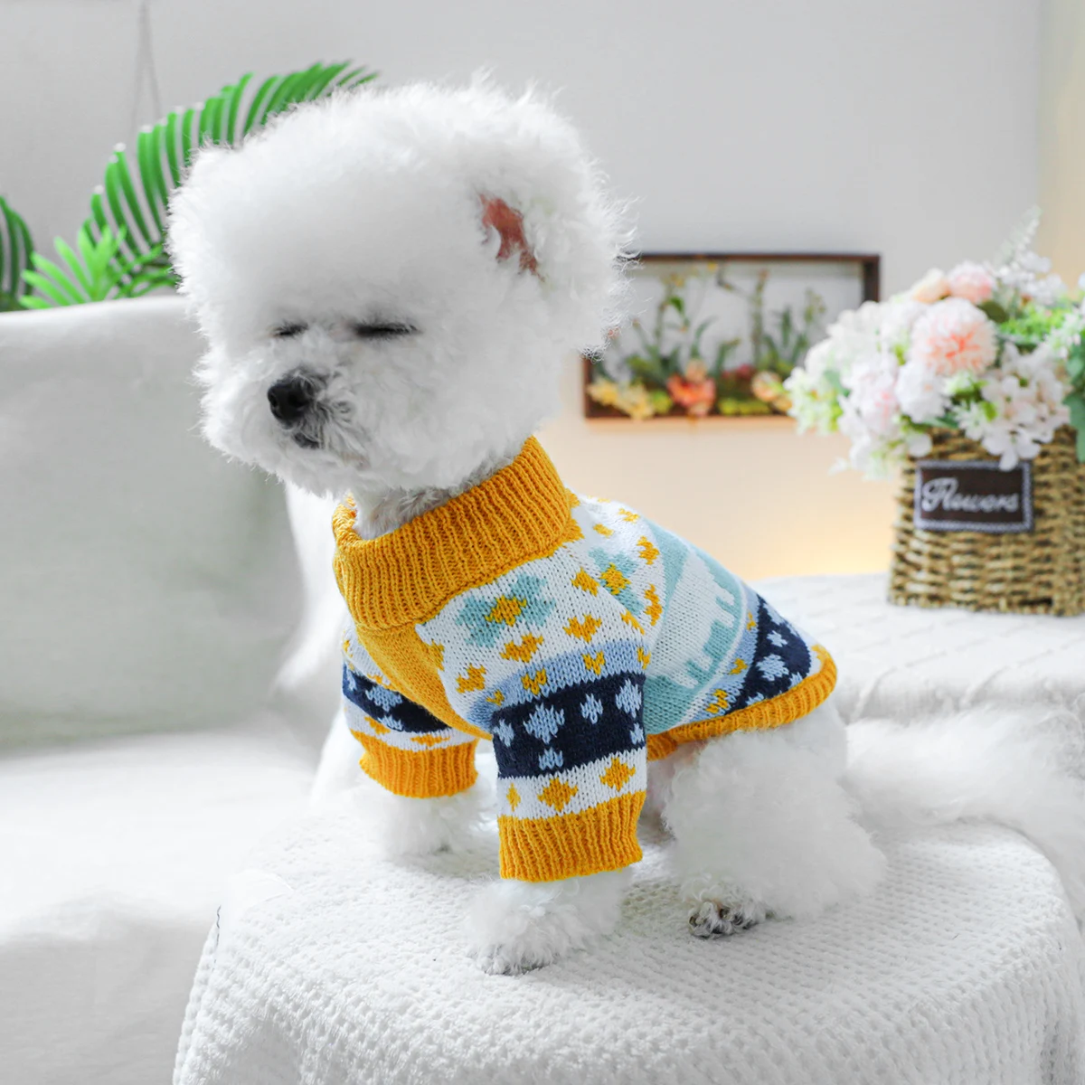 1PC pet clothing dogs spring and autumn pullover, stretch Jurassic sweater suitable for small and medium -sized dogs