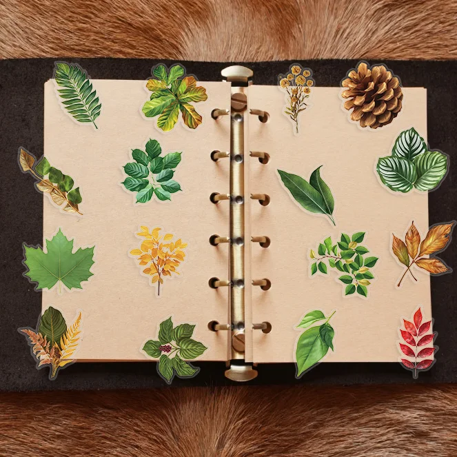 Autocollants Graffiti feuilles de plantes, 50 pièces, autocollants esthétiques pour bagages, vélo, téléphone, ordinateur, cadeau du nouvel an, décoration pour animaux de compagnie, DIY bricolage