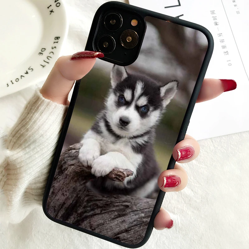 Funda de teléfono 5 5S SE 2020 para iPhone, 6, 6S, 7, 8 PLUS, X, XS, XR, 11, 12, 13, MINI, 14 PRO MAX, de goma, Alaskan, Malamute, husky Siberiano