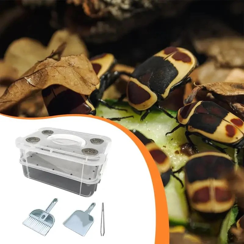 Kit de Cría de Gusanos de Harina, Recipientes Transparentes de Malla Fina para Alimentar Gusanos de Maíz, Caja de Alimentación para Gusanos de Harina Amarillos para Dragones Barbudos y Aves