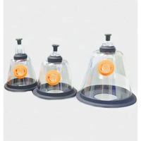 2025/Veterinary instrument animal  mask vet firefighter pet dog  nebulization  therapy  mask