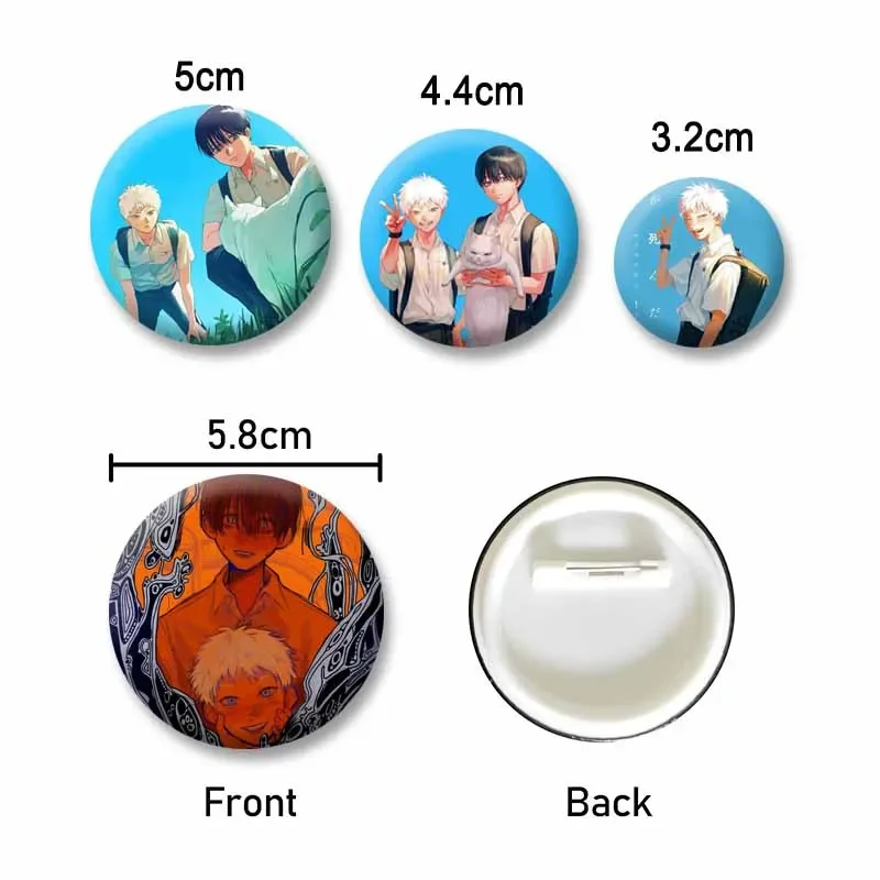 The Summer Hikaru Died Enamel Pin, Tinplate Cartoon Brooch Badge, Accessory for Backpack Hat, Collectible Jewelry Gift for Fans