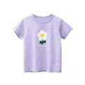 HT9572 light purple