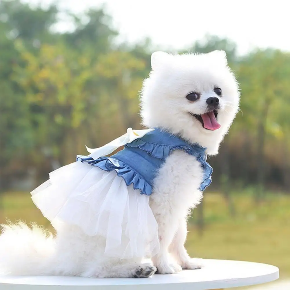 

Decorating Stylish Summer Dog Two-legged Clothes Pullover Pet Skirt Comfortable for Home Wear