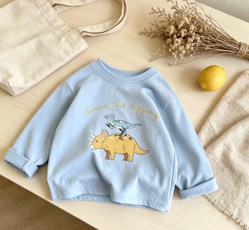 Baby Cartoon Dinosaur Theme Long Sleeve Top Kid Crew Neck Long Sleeve Tee Three Tone Cute Dinosaur Print Clothing Children Tees