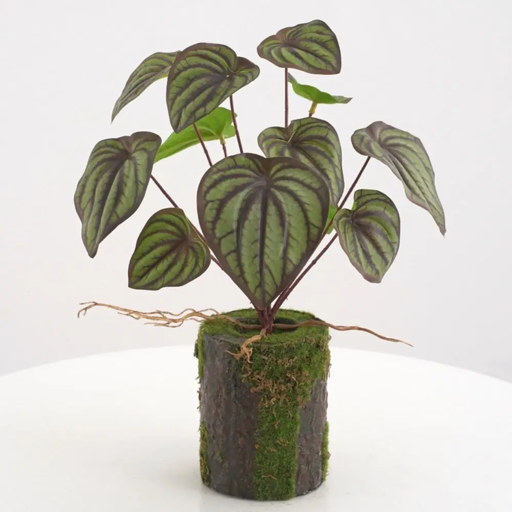 Plante verte artificielle, 12 têtes, feuilles bégonie, cuir chevelu, grande tortue tropicale, dos, feuilles de pomme de terre en plastique, fausse plante