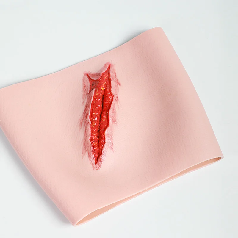 DARHMMY Medical First Aid Teaching Thigh Trauma Wound Model for Stop  Bleed Training