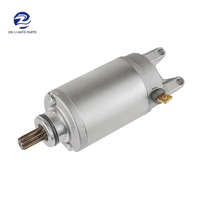 

31100-10D00 31100-11D00 31100-08F00 31100-32C11 T1311112 T1314455 Motorcycle Starter Motor For Suzuki Bandit GSF400 GSF600