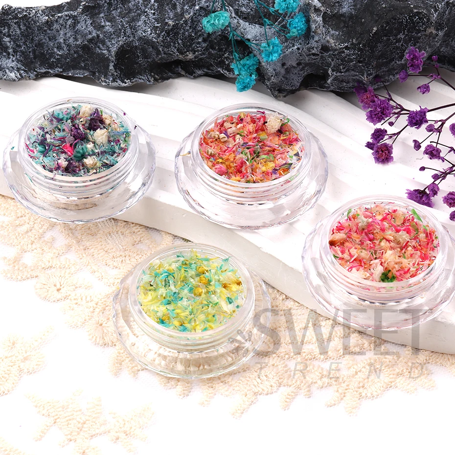 1 Box 3d natürliche echte trockene Blume Charms Abziehbilder japanische bunte Blütenblatt Blume UV Gel Acryl Nail Art Zubehör Werkzeuge jis166