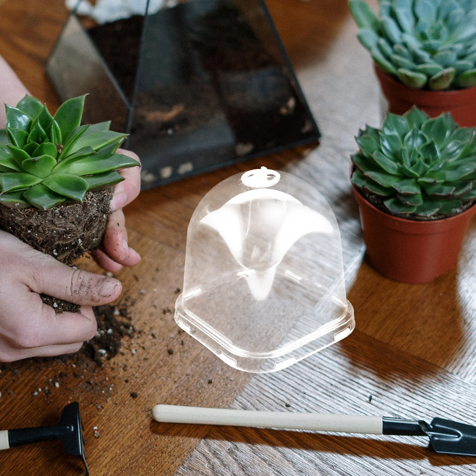

10Pcs Plant Nursery Cover Transparent Humidity Dome Adjustable Air Vent Gardening Tool Cloche Plastic Cover Humidity Dome