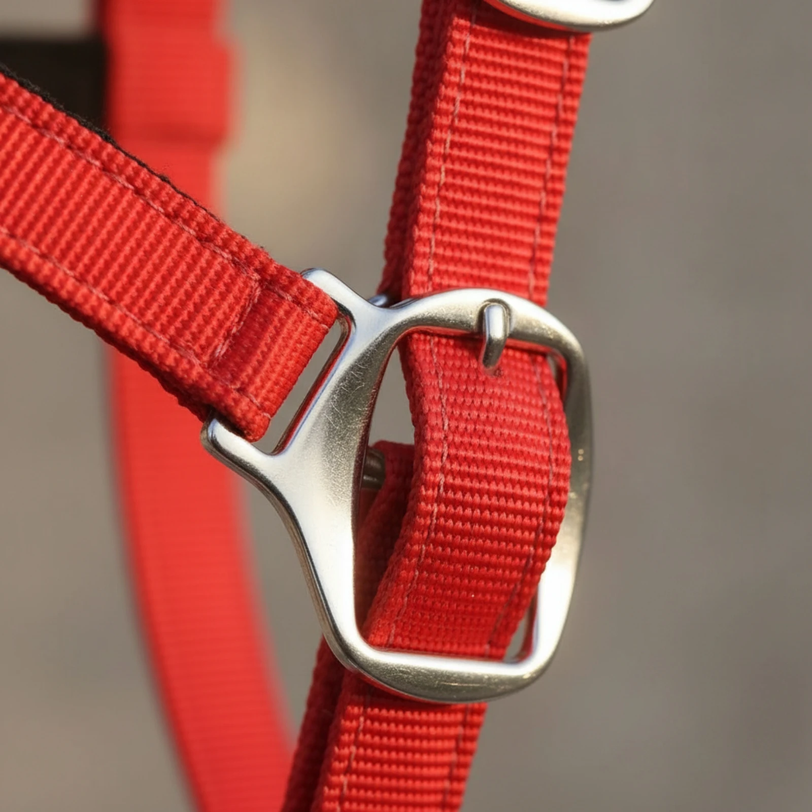 Halter with Lead Rope Adjustable Horse Halter Headcollar Heavy-Duty Tack Limited Stretch for Equestrians, Stable, Groundwork