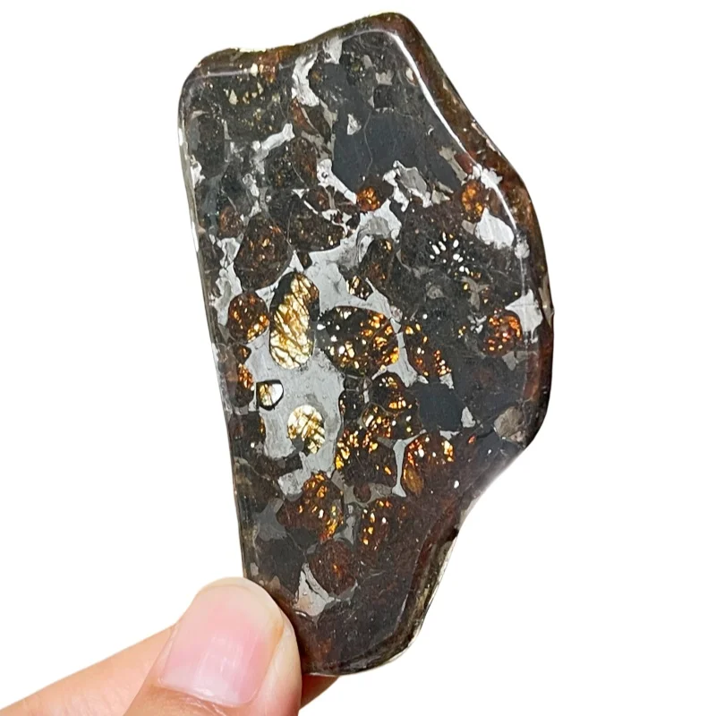  Collector Grade Irregular Sericho Pallasite Meteorite Dense Shiny Olivine Crystals Display Specimen TA805