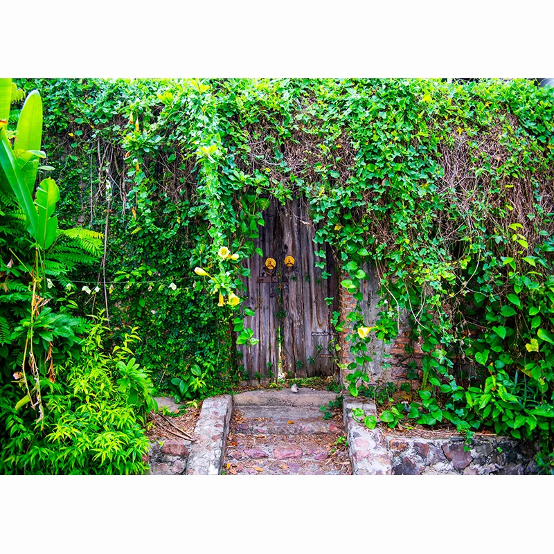 Nitree sakura avenida fotografia pano de fundo prop bordo rosa árvore flor caminho paisagem janela photo studio fundo FFJ-01