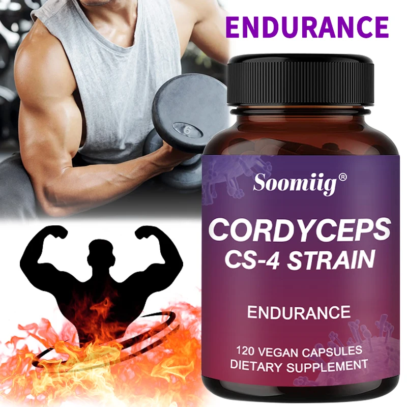 

Cordyceps Mushroom Extract - Brain Supplement for Memory and Focus, Helps with Energy, Natural Endurance, Helps Immune