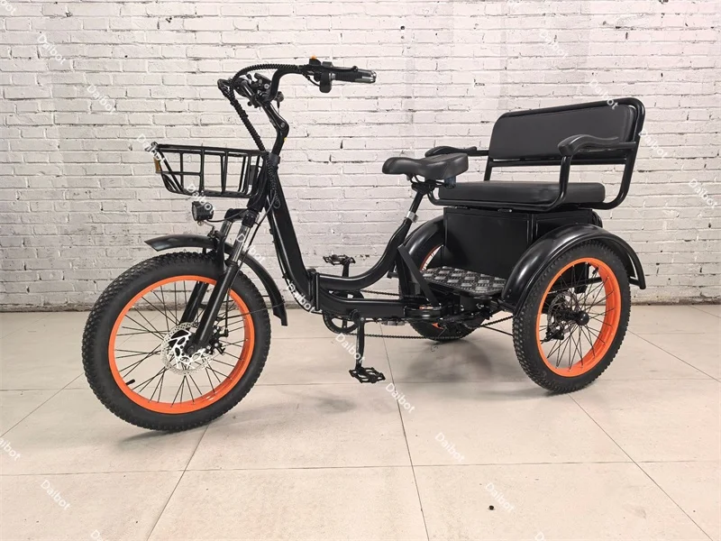 750W Familien-Elektrofahrrad 2-Sitzer Fatbike Elektrofahrrad mit 3 Rädern Abnehmbarer Akku Elektro-Dreirad für Erwachsene mit Beifahrern – Detail 5