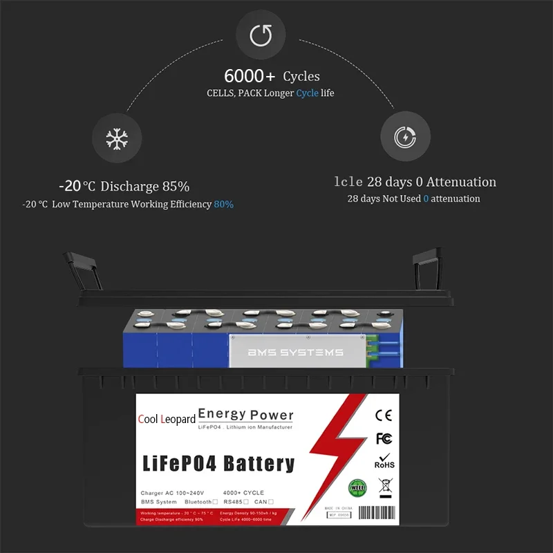 Nuovo pacco batteria 12V 24V 48V 100Ah 200Ah 300Ah LiFePo4 BMS integrato, per batterie solari al litio ferro fosfato per barche RV