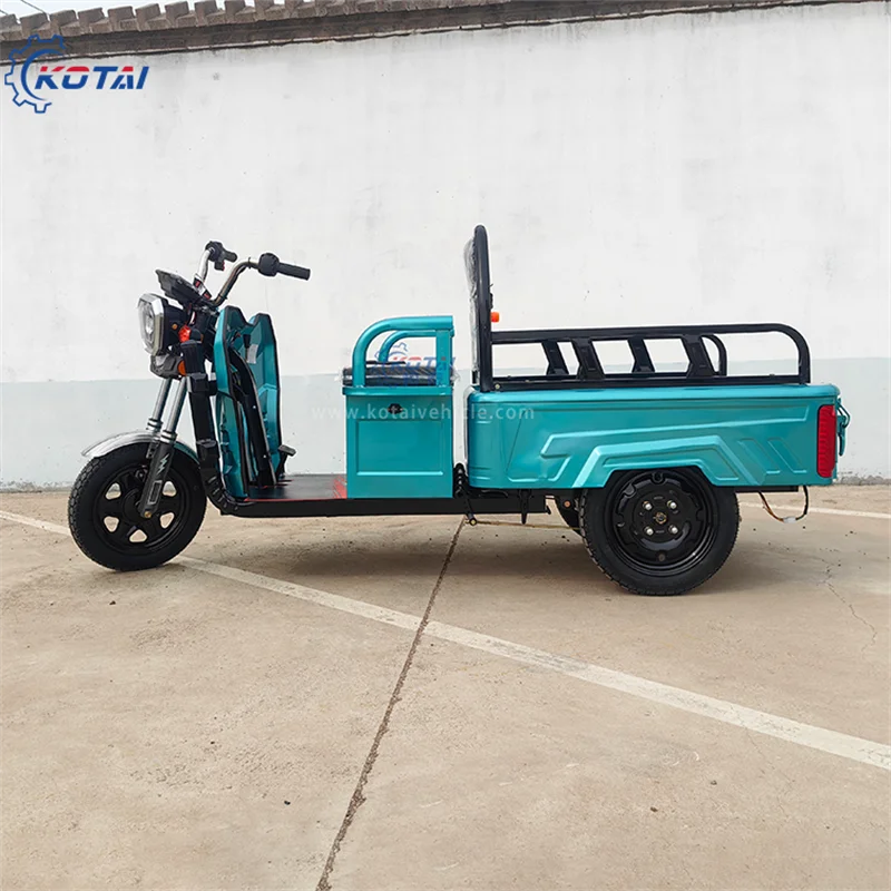 Electric Cargo Trike Adult Motorcycle Passenger Car Rural Suburban Hot Selling Stall Mobile Tricycle