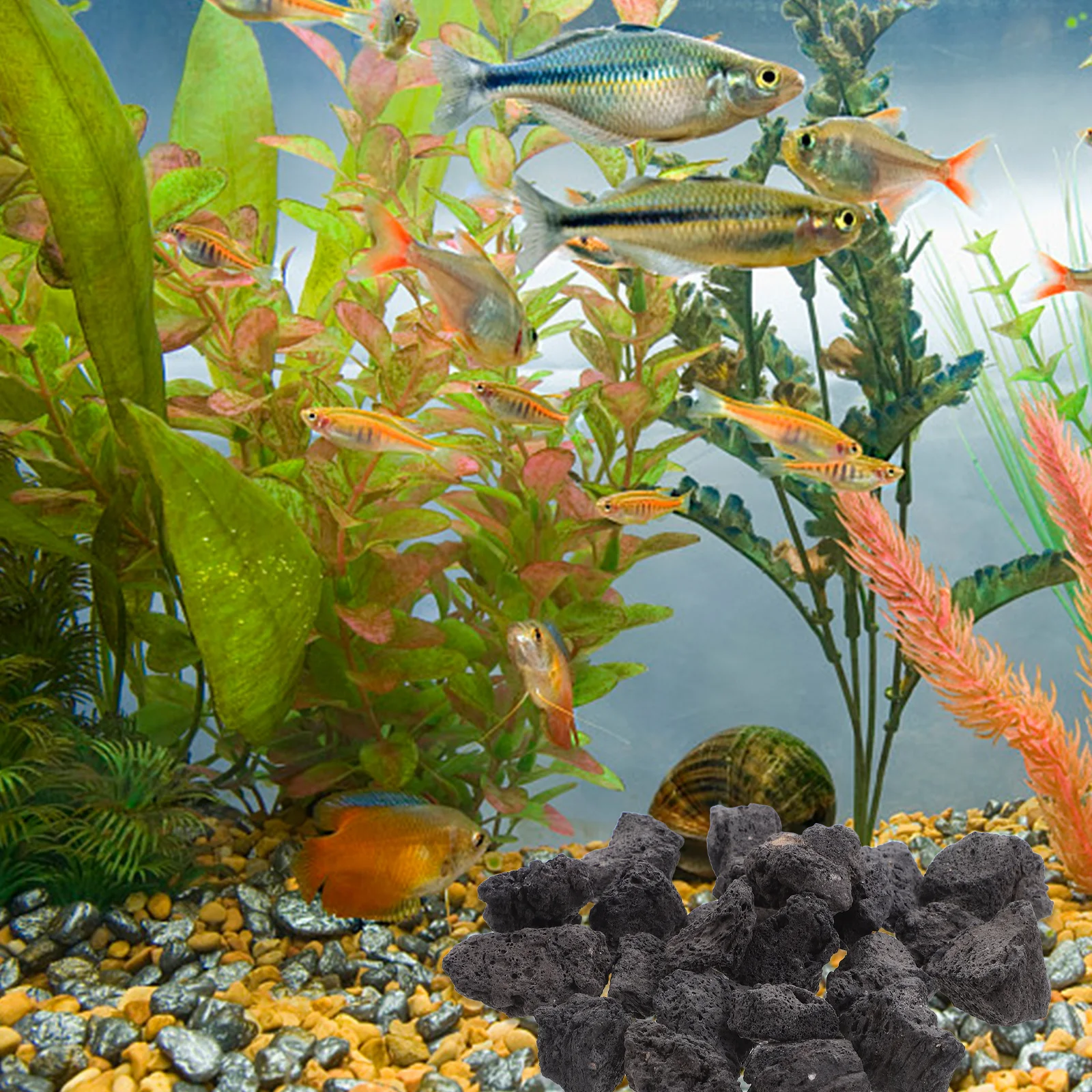 

1Pack Natural Volcanic Rocks for Fish Tank Porous Breathable Lava Stones Aquarium Decoration Potted Plants Volcanic Stone