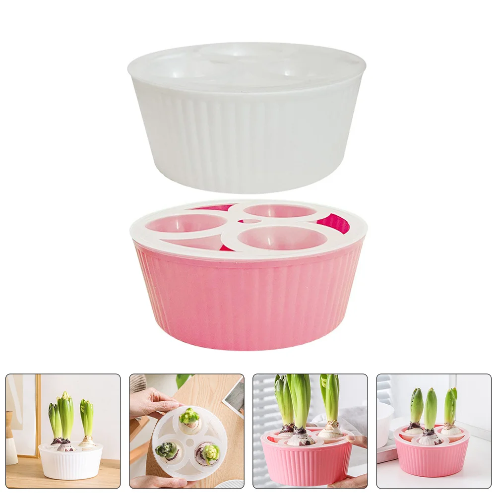 

2pcs Hydroponic Pot For Tulip Bulbs Narcissus Hyacinth Three Bulb Capacity Water Level Indicator Non-Slip Base Hydroponic