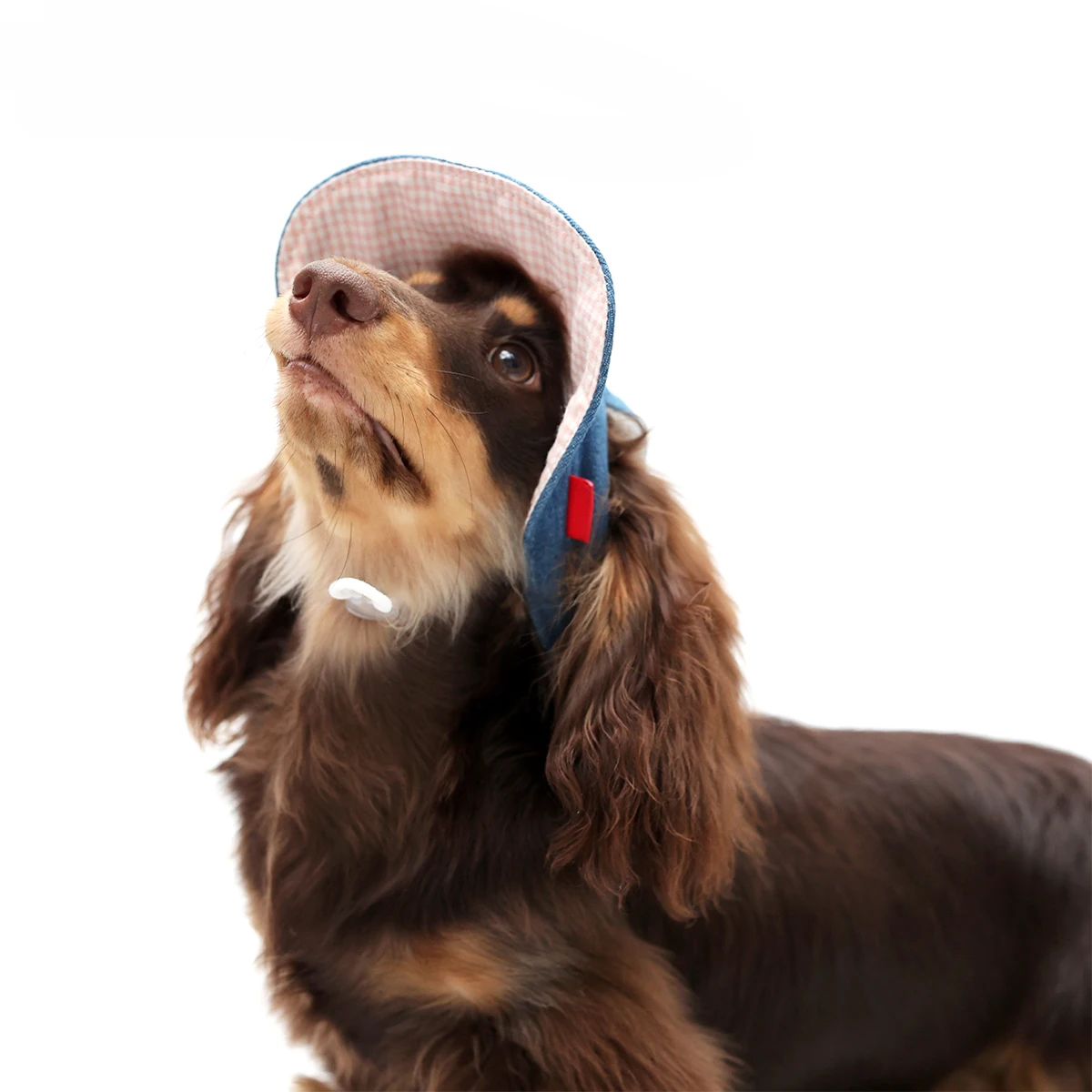 Dog Hat Dachshund Sunscreen Cap Baseball Cap Outdoor Sports Hat Ear Holes Adjustable Pet Cap for French Bulldog Yorkie Poodle