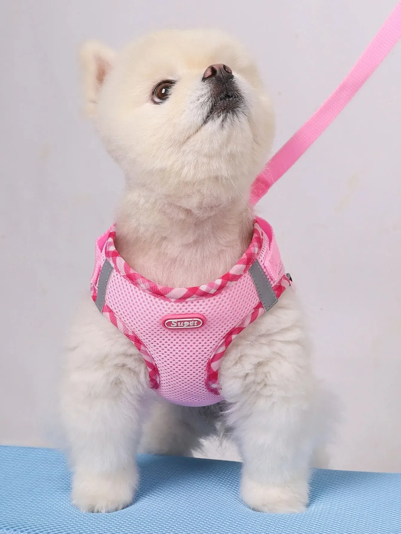 

Supet 1pc Dog Harness, Anti-Pull, Pet Harness, Adjustable, Easy to Control, Suitable for Small, Medium Dogs