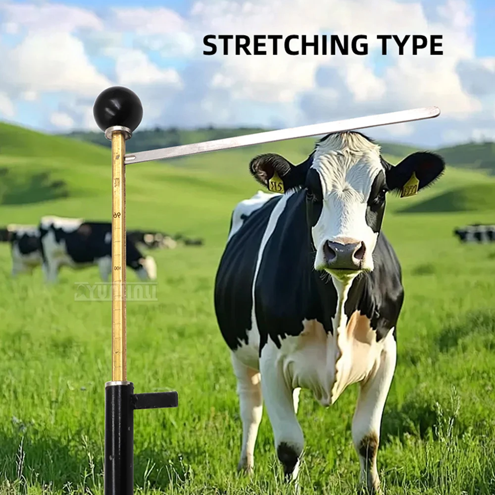 Extendable Animal Measuring Staff Instrument for Cattle And Sheep Height Measurement Durable Agricultural Tool view 3