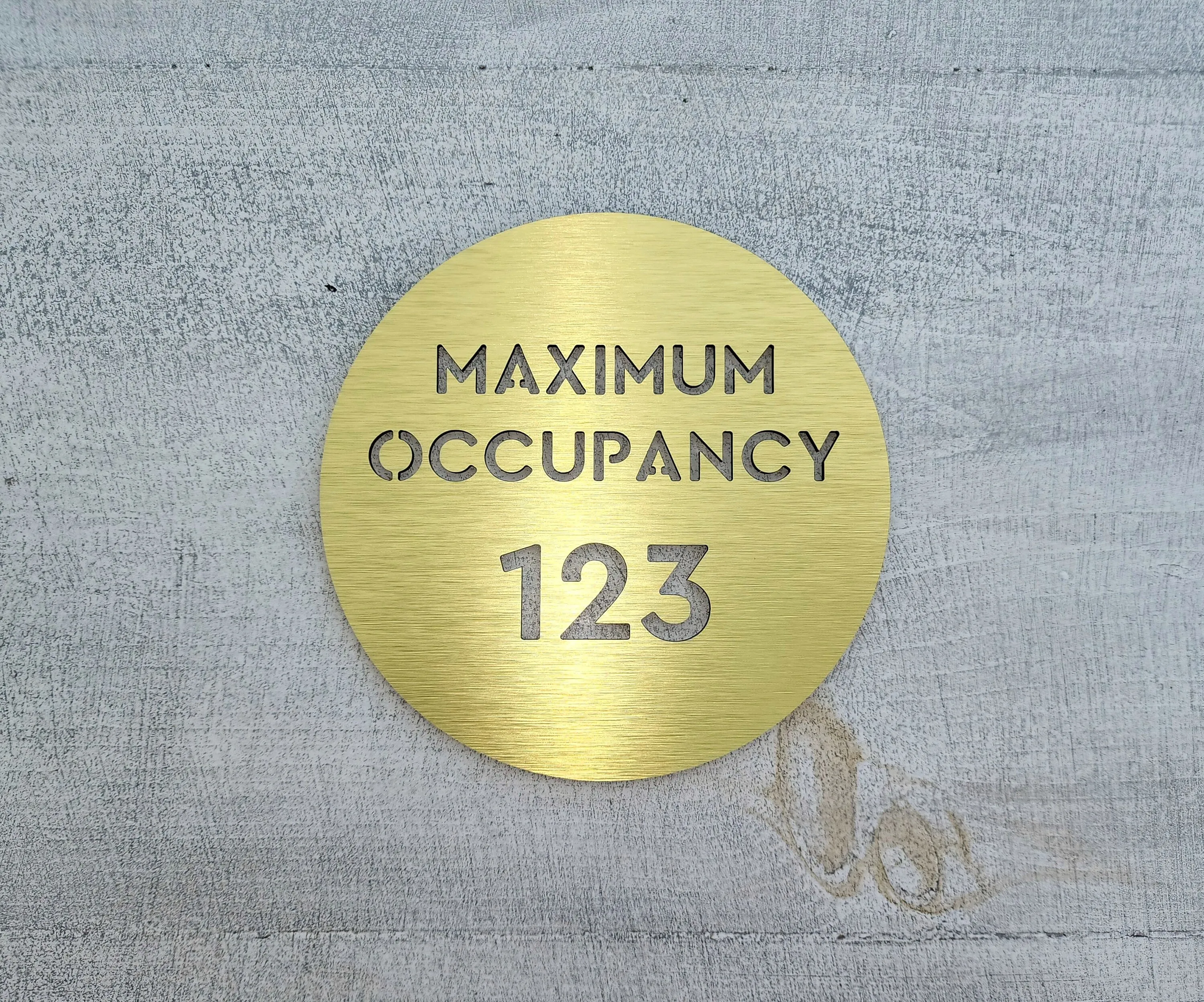 

Aluminum Alloy Personalized Brushed Silver Brushed gold 3D Metal House NumberMaximum capacity Room Door Wall occupied signal