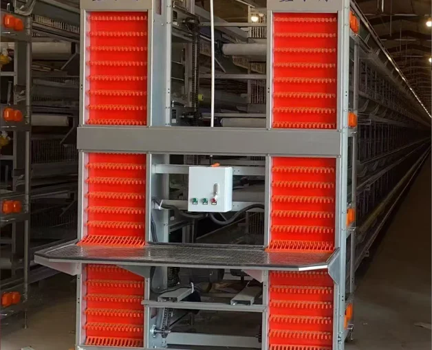 New H Poultry Farming Equipment High Quality Automatic Egg Collecting System Accurate Temperature Control for Chicken Layer Cage