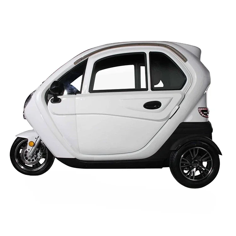 2500W Adult Tricycle 3 Wheel Electric Car Fully Enclosed High Speed Transport Vehicle Old People Mobility Scooter