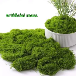 Artificial Moss And Moss Landscape Biomimetic Artificial Lawn Micro Landscape Layout Decoration Indoor Green Lawn Potted Bonsai