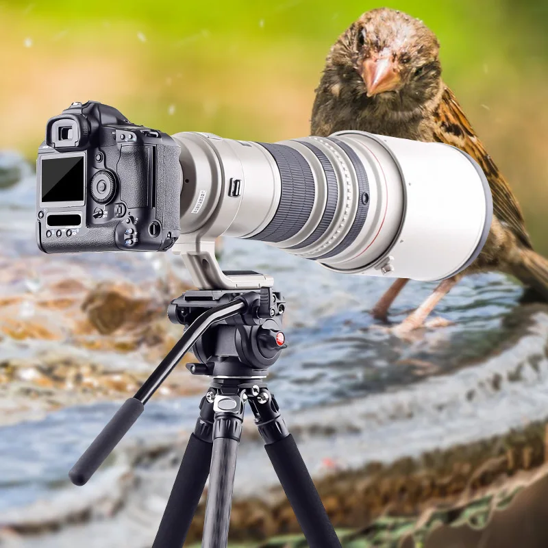 

PyroGraphy 75mm Bowl Fluid Head - Heavy Duty Panoramic Tripod Head for DSLR/Mirrorless Cameras & Camcorders