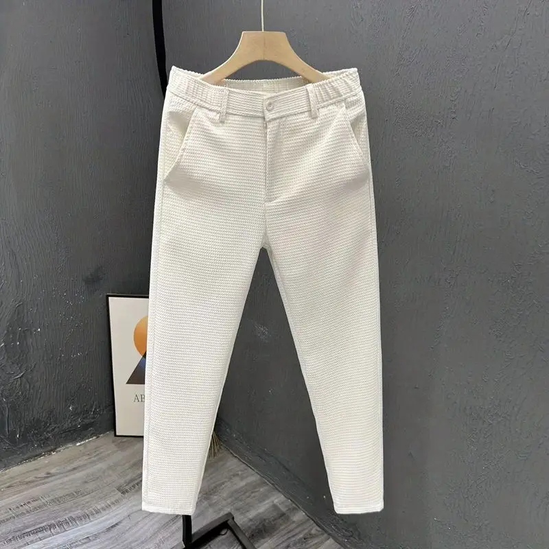 Business Straight Trousers Summer New Men's Solid Color Plaid Button Zipper Casual Classic Loose Sagging Sensation Suit Pants