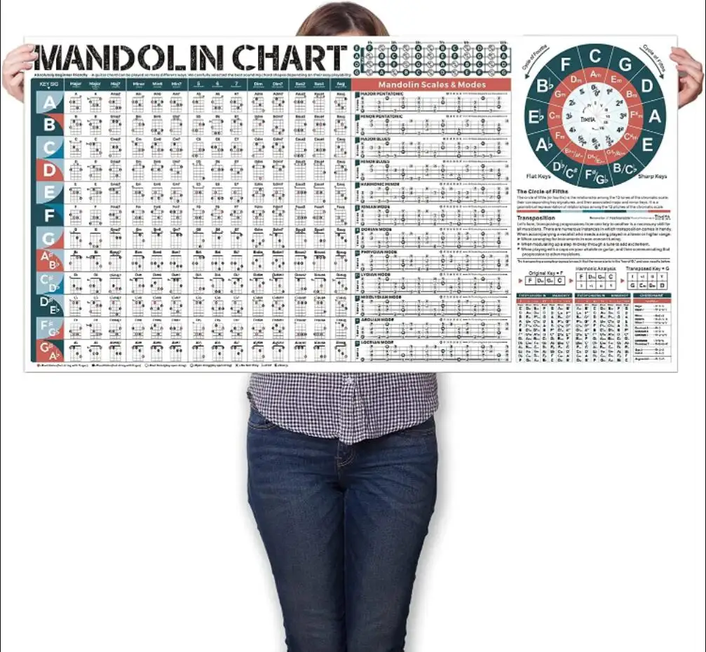 Mandolin Chord Chart Laminated of Popular Chords Scales Fretboard Notes and Circle of Fifths Wheel Easy to Learn for Beginners