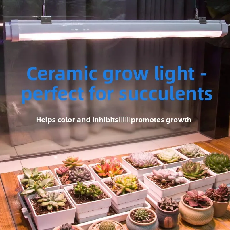 Succulent Grow Light with Color Enhancement Spectrum LED Plant Lamp Vibrant Succulents Gardening Light Growth Lights with Timer