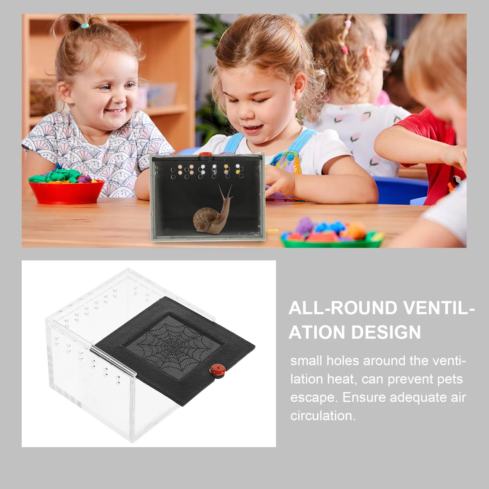 

Acrylic Clear Viewing Reptile Feeding Box with for Spiders Tarantulas Small Lizards Frog Habitat Reptile Feeding Box