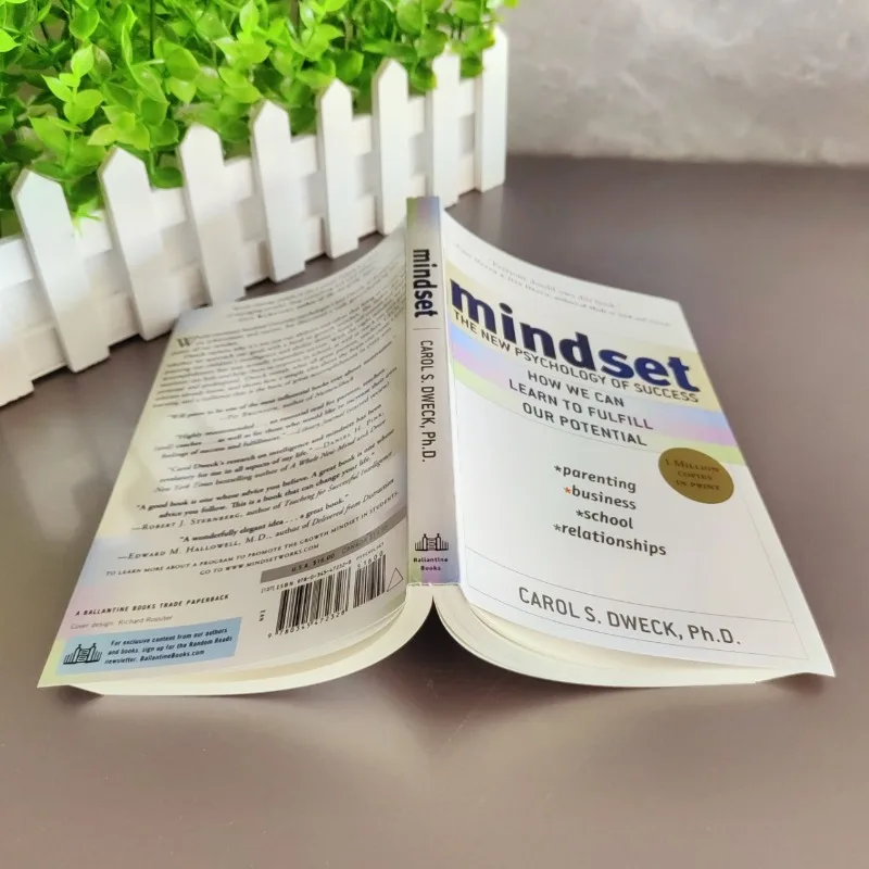 Mindset : la nouvelle psychologie du succès de Carol S.Dweck-Growth Mindset livre anglais pour l'auto-aide, le développement personnel et les affaires