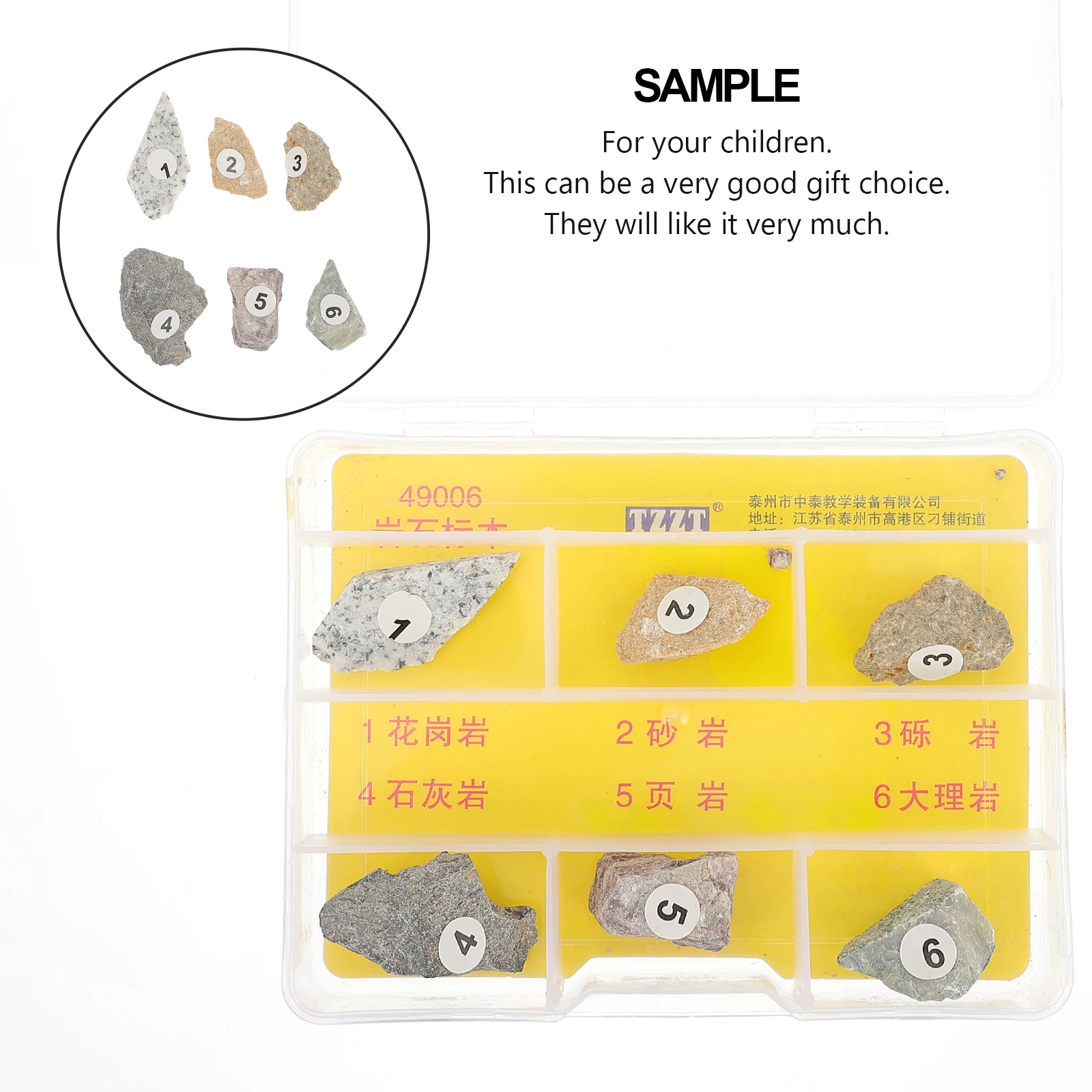 

Teaching Rock Specimens & Mineral Collection Kit Stone Stones Sample Natural Tool Crystal Ore