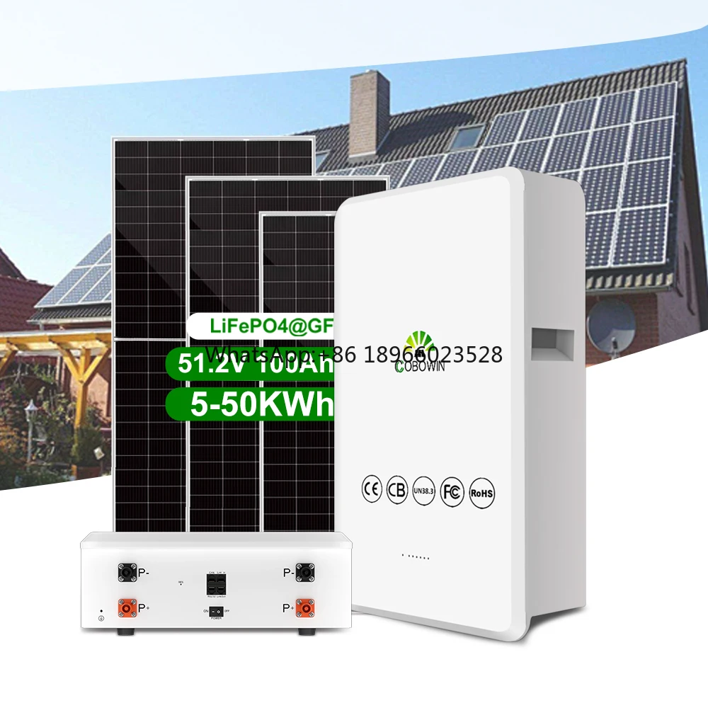 5.12KWh 100Ah 200V Off-Grid Wall-Mounted Home Energy Storage Battery 48V RS485 Solar Energy System with Smart BMS